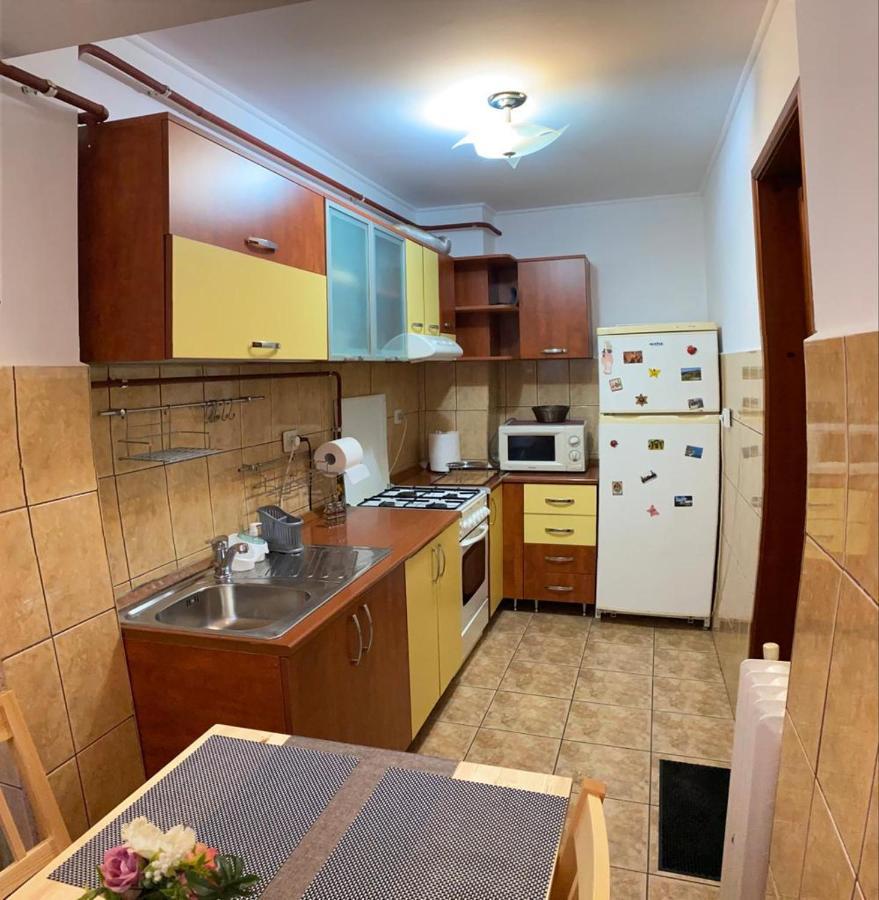 Zorilor Apartman Szucsáva Kültér fotó